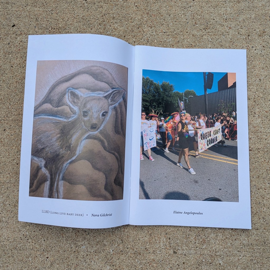 Ozark Storytelling Zine by Kudzu Books